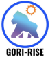GORI-RISE(ゴリライズ)ガラスフィルム
